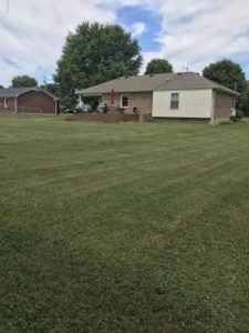 PCS Real Estate